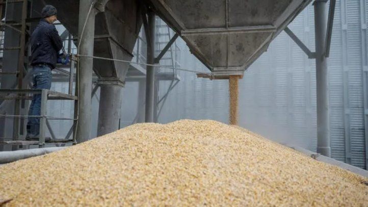 Terrorismo y chantaje ruso sobre los cereales, posición del gobierno de Ucrania sobre el nuevo conflicto internacional