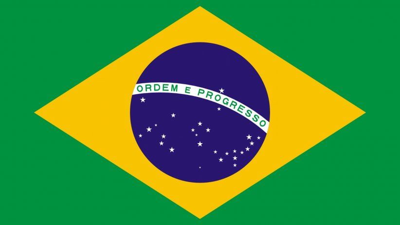 IMPUNITY/BRAZIL