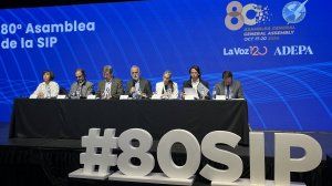 Sesión de aprobación de los informes país por país, las resoluciones y las conclusiones. (Foto: Julieta Long).