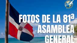81 Asamblea General